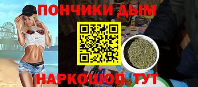 шишки Будённовск